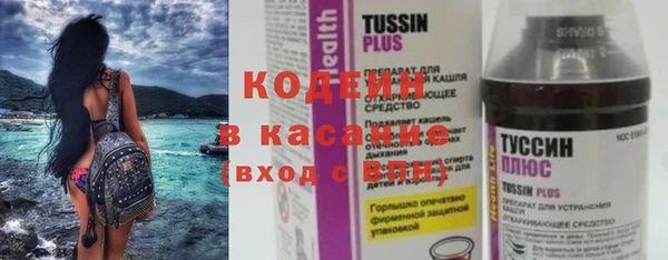 индика Сафоново