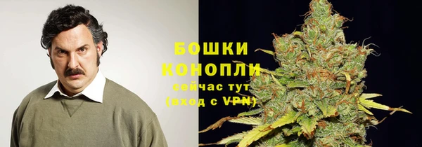 МДПВ Саяногорск
