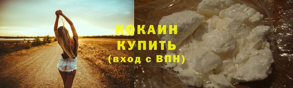 МДПВ Саяногорск