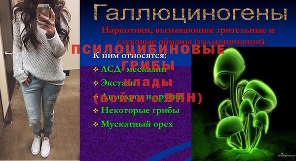 МДПВ Саяногорск