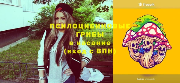 индика Сафоново