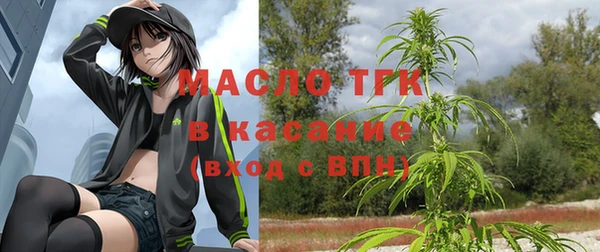 индика Сафоново
