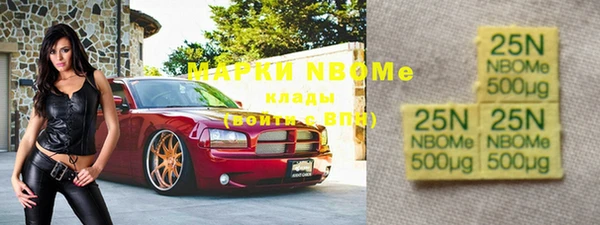 индика Сафоново