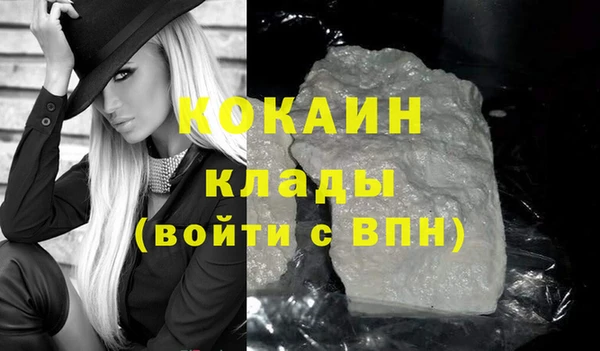индика Сафоново