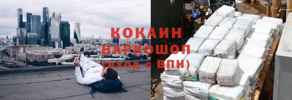 индика Сафоново