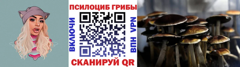 Купить  Касимов  Псилоцибиновые грибы ЛСД 